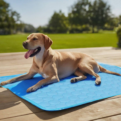 Tapis Refroidissant pour Chiens | Confort et Soulagement en Été