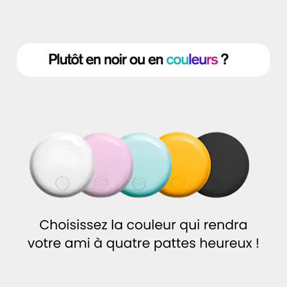Traceur GPS pour Chat de Compagnie - Rondor - ANDROID / iOS