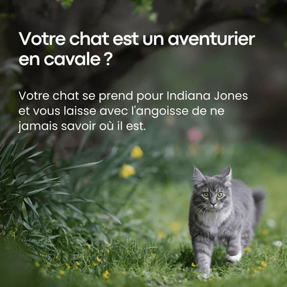 Traceur GPS pour Chat de Compagnie - Rondor - ANDROID / iOS