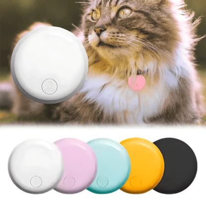 Traceur GPS pour Chat de Compagnie - Rondor - ANDROID / iOS